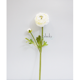 Hoa Camellia màu Cream  22-8285-003-CR 